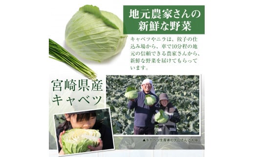【宮崎空港で大人気!】TV番組で餃子日本一獲得!＜餃子の馬渡馬渡のもっちり餃子40個と手羽餃子9本セット＞翌月末迄に順次出荷 餃子の馬渡 ぎょうざ ギョウザ 手羽先餃子