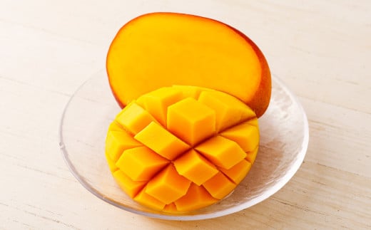 【残りわずか！】＜宮崎県 完熟マンゴー 太陽のタマゴ 3L×2玉(合計 約900g)＞ ※2025年5月上旬～7月末迄に順次出荷します。 マンゴー 果物 くだもの フルーツ 完熟 南国