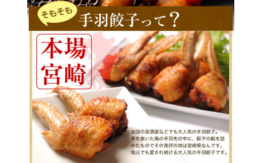 【宮崎空港で大人気!】TV某番組で餃子日本一獲得!＜馬渡の手羽餃子18本＞翌月末迄に順次出荷 餃子の馬渡 手羽先餃子 国産100％ 宮崎餃子 特産品