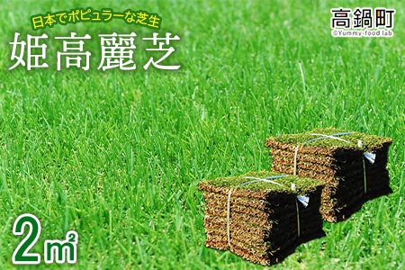 ＜姫高麗芝 2平方メートル＞※2か月以内に順次出荷