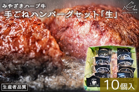 ＜みやざきハーブ牛 手ごねハンバーグ「生」（140g×10個）＞入金確認後、翌月末迄に順次出荷