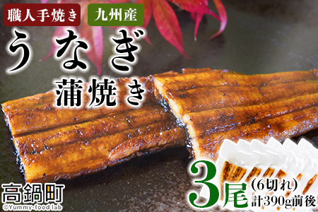 ＜職人手焼き九州産うなぎ 蒲焼き3尾（6切れ）計390g前後＞