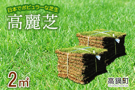 ＜高麗芝 2平方メートル＞2か月以内に順次出荷