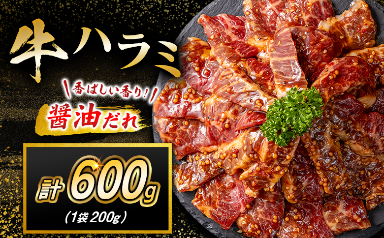 牛 ハラミ 600g（200g×3袋） 焼肉 肉 牛肉 精肉 味付け 人気 ギフト おすすめ 小分け プレゼント 贅沢 グルメ 冷凍 牛ハラミ 600g（200g×3袋）