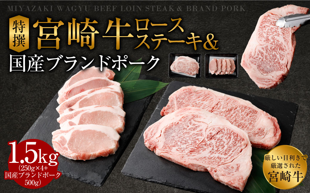 ＜特選宮崎牛ロースステーキ 1kg+ブランドポーク100g×5枚＞2026年2月上旬より順次出荷