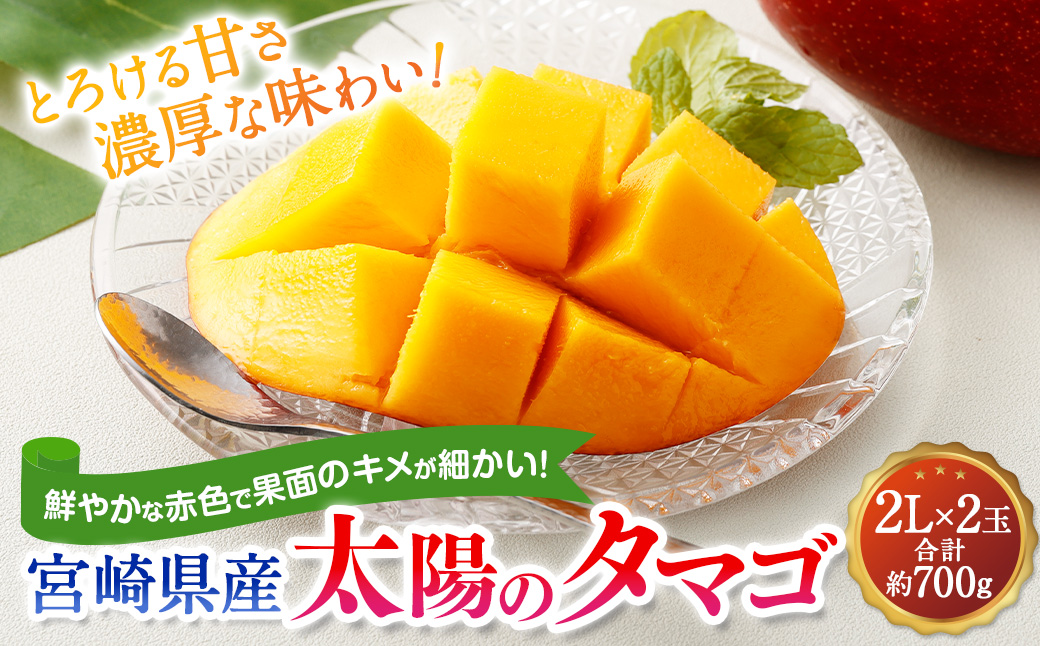 ＜宮崎県産 太陽のタマゴ 2L×2玉 (合計約700g)＞2024年5月中旬～7月下旬迄に順次出荷