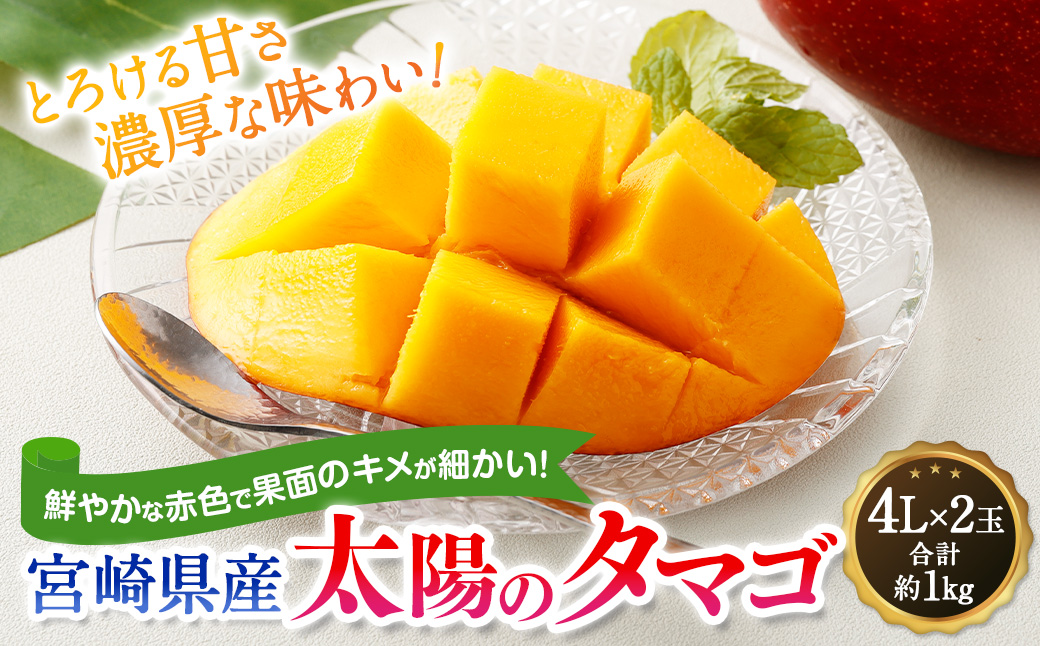 ＜宮崎県産 太陽のタマゴ 限定100箱 4L×2玉 (合計約1kg)＞2024年5月中旬～7月下旬迄に順次出荷
