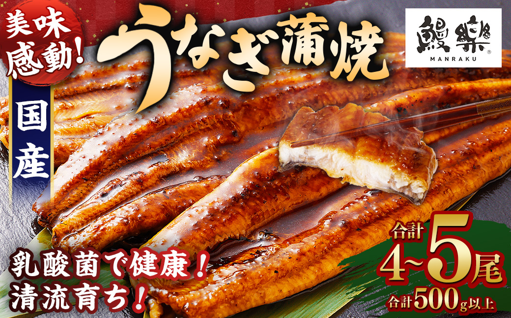 極上鰻！うまい！＜うなぎ 国産 うなぎ蒲焼 4～5尾 計500g以上＞ふるさと納税 うなぎ 高級 長蒲焼 鰻 夏バテ防止 ウナギ 鰻 かば焼き 蒲焼き 丑の日 タレ 宮崎県産 国産 九州産 宮崎県 高鍋町 送料無料