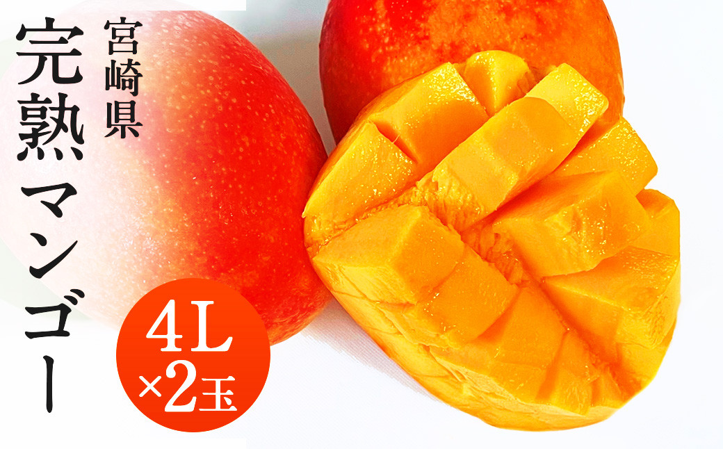 宮崎県産完熟マンゴー 4L 4個入り お求めやすく価格改定 - 果物