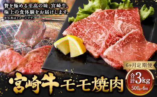 【6ヶ月定期便】＜宮崎牛モモ焼肉 500g（1パック：500g×6回）＞ お申込みの翌月下旬頃に第一回目発送（12月は中旬頃） 牛肉 お肉 肉 和牛 新生活応援 卒業祝い 就職祝い 入学 卒業 お花見 引越し