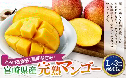 ＜宮崎県産完熟マンゴー L×3玉（約900g）＞