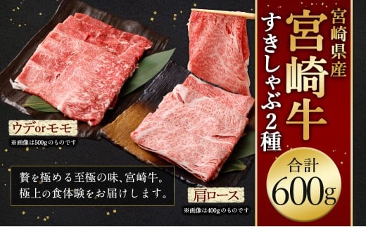 宮崎牛すきしゃぶ2種（赤身霜降り） 計600g