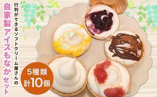 ＜アイスもなか 5種10個セット＞2か月以内に順次出荷 アイス 自家製 セット