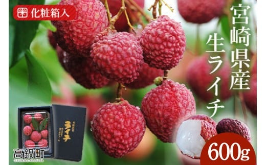 ＜宮崎県産ライチ600g＞