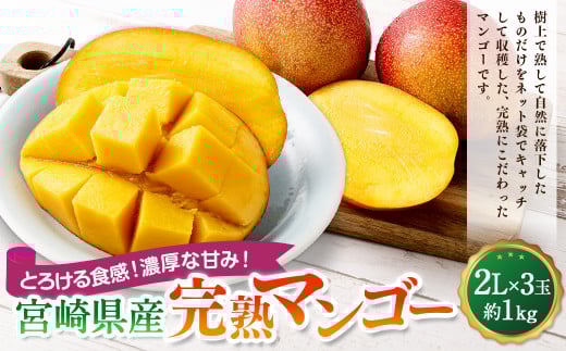 ＜宮崎県産完熟マンゴー 2L×3玉（約1kg）＞