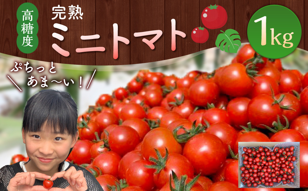 ＜「完熟ミニトマト」ミニトマト 1kg＞2024年5月下旬迄に順次出荷 野菜ソムリエサミット アルル・リリカ共に銀賞受賞！！宮崎県 高鍋町産 産地直送 有機肥料使用 高糖度 西森農園