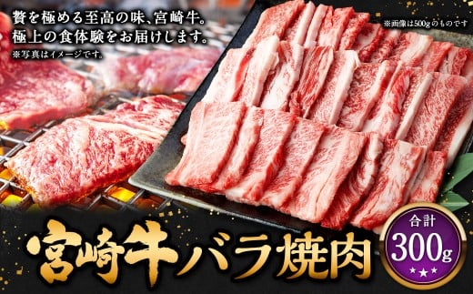 宮崎牛バラ焼肉 300g