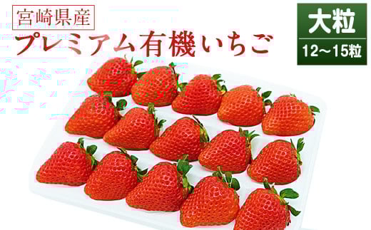 ＜宮崎県産 プレミアム有機いちご大粒12~15粒＞