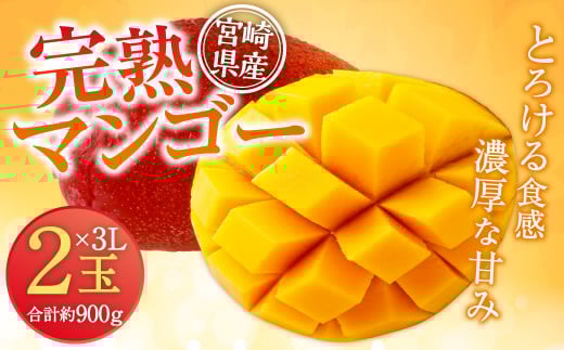 ＜宮崎県産 完熟マンゴー 3L×2玉(合計 約900g)＞