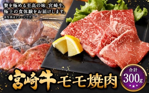 宮崎牛モモ焼肉 300g