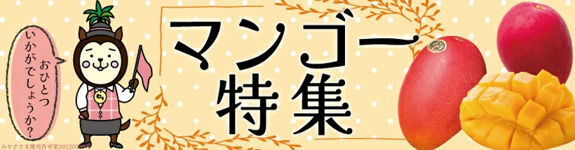 南国宮崎 マンゴー特集