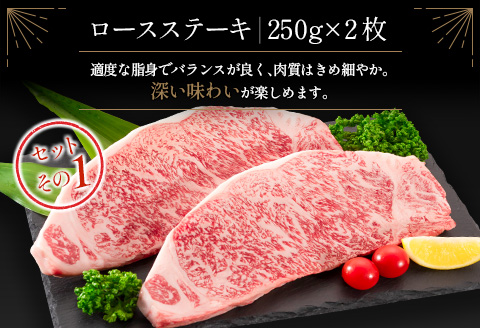 ＜肉質等級4等級＞宮崎牛 ロース 食べ比べ セット（合計1kg） 国産 肉 牛肉 ご飯 おかず お祝い ごちそう【E161-2510-90】