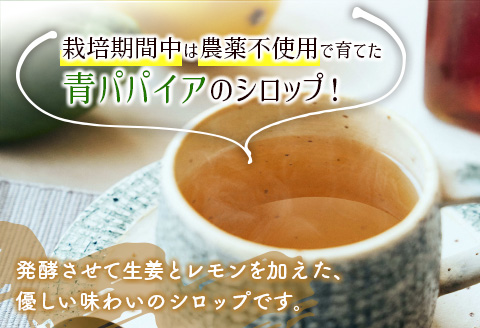 青パパイア酵素シロップ 250ml×3個【B598】