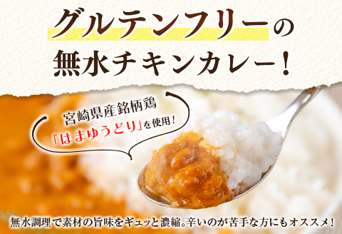 グルテンフリー 無水チキンカレー TEGEUMA SPICE CURRY（テゲうまスパイスカレー）180g×6箱【B595】