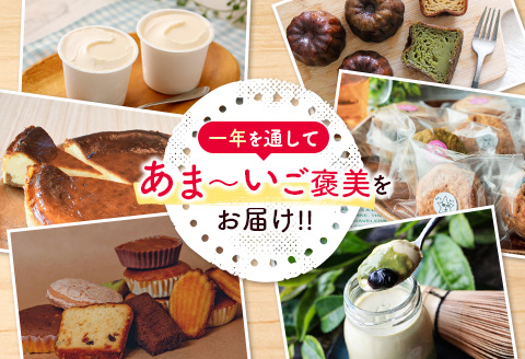 ［偶数月配送］新富スイーツ定期便【F121】