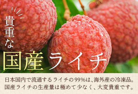 宮崎県産 生ライチ「至高の紅玉」計1kg ≪2026年6月下旬～発送≫ 人気 国産 希少 果物 旬 ギフト プレゼント【C365-26】