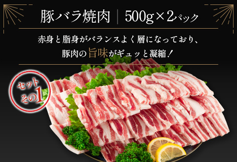 宮崎県産豚 3種 食べ比べ 焼肉 セット（500g×6パック）計3kg 国産 肉 豚肉 ご飯 おかず BBQ 焼き肉【C370-2510-90】