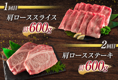 《お楽しみ 6種》［宮崎牛］スペシャル 6か月定期便 総重量4.6kg【F107】