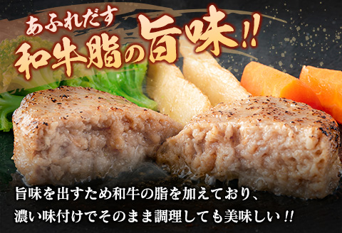 宮崎県産豚ハンバーグ 計3kg【B612】