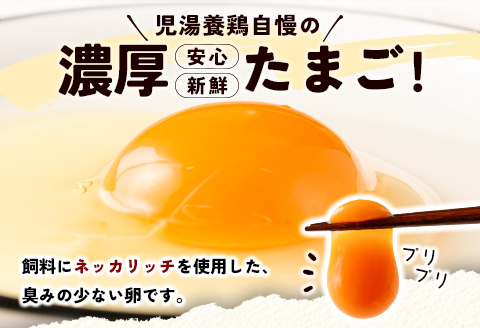 ＜児湯養鶏自慢の卵＞ネッカリッチ赤たまご「児湯一番」計40個（20個入×2箱）【B19】