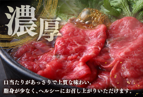 ブランド牛「黒毛和牛ひなた」モモスライス 500g【B385】