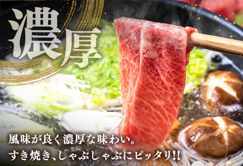 ブランド牛「黒毛和牛ひなた」肩ローススライス 500g【C203】