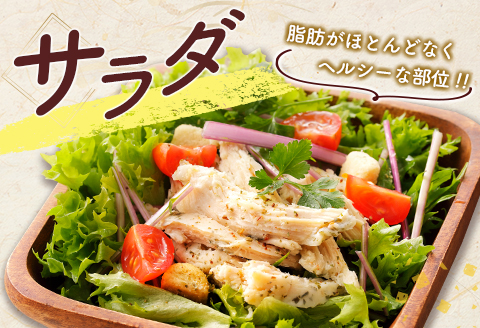 真空パック！宮崎県産若鶏ささみ 合計5kg【C407】