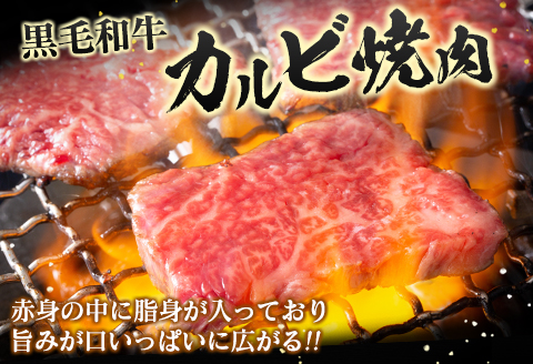 宮崎県産黒毛和牛 カルビ焼肉500g＆戸村のたれセット【C410】