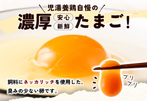 ＜児湯養鶏自慢の卵＞ネッカリッチ赤たまご「児湯一番」 計120個 （20個入×2箱）×3か月定期便【C55】