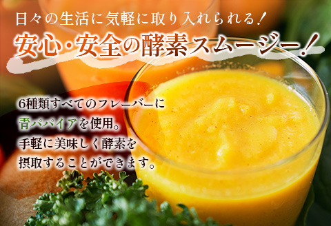 「南国酵素スムージー6本セット」200ml×6本セット