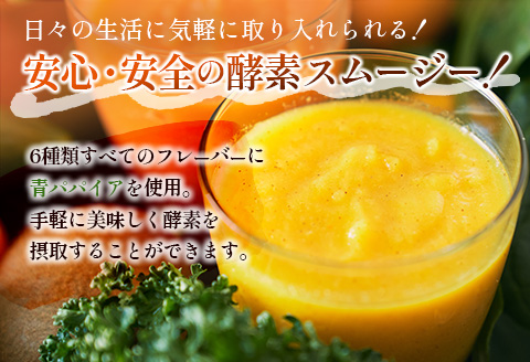 「南国酵素スムージー12本セット」200ml×12本セット　野菜・果実ミックスジュース　青パパイア　果物　フルーツ　飲料　健康　栄養