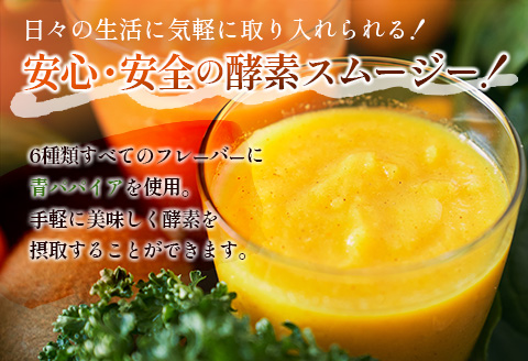 「定期便3か月コース」南国酵素スムージー　200ml×6本セット×3回