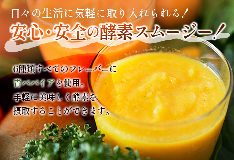 「定期便12か月コース」南国酵素スムージー　200ml×6本セット×12回