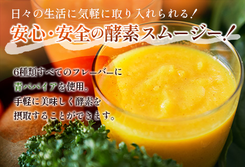 「定期便12か月コース」南国酵素スムージー　200ml×12本セット×12回