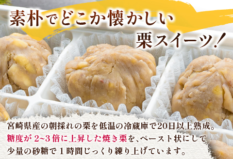 ＜2026年出荷!!＞宮崎県産 低温熟成栗100%［栗きんとん］計12個 おやつ 甘い お取り寄せ 先行予約【B619-26】