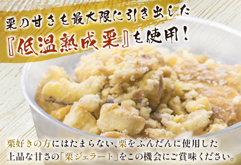 ＜2026年出荷!!＞宮崎県産 低温熟成栗使用［栗ジェラート］スイーツ 甘い お取り寄せ 先行予約【B620-26】