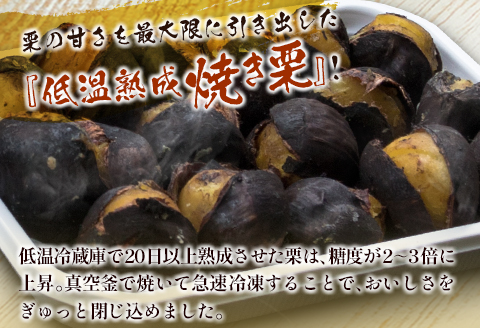 ＜2026年出荷!!＞宮崎県産 低温熟成栗［焼き栗］計500g（250g×2パック）おやつ 秋の味覚 お取り寄せ 先行予約【B617-26】