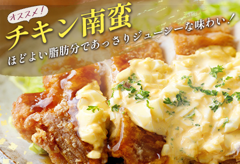 宮崎県産 鶏ムネ・豚切落し 5kgセット【B500】