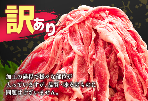 「訳あり」宮崎県産 黒毛和牛小間切れ 1kg【B499】