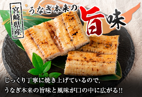 「こだま鰻」宮崎県産 うなぎ白焼き（2～3尾）計500g以上 国産 真空パック【C418-25】